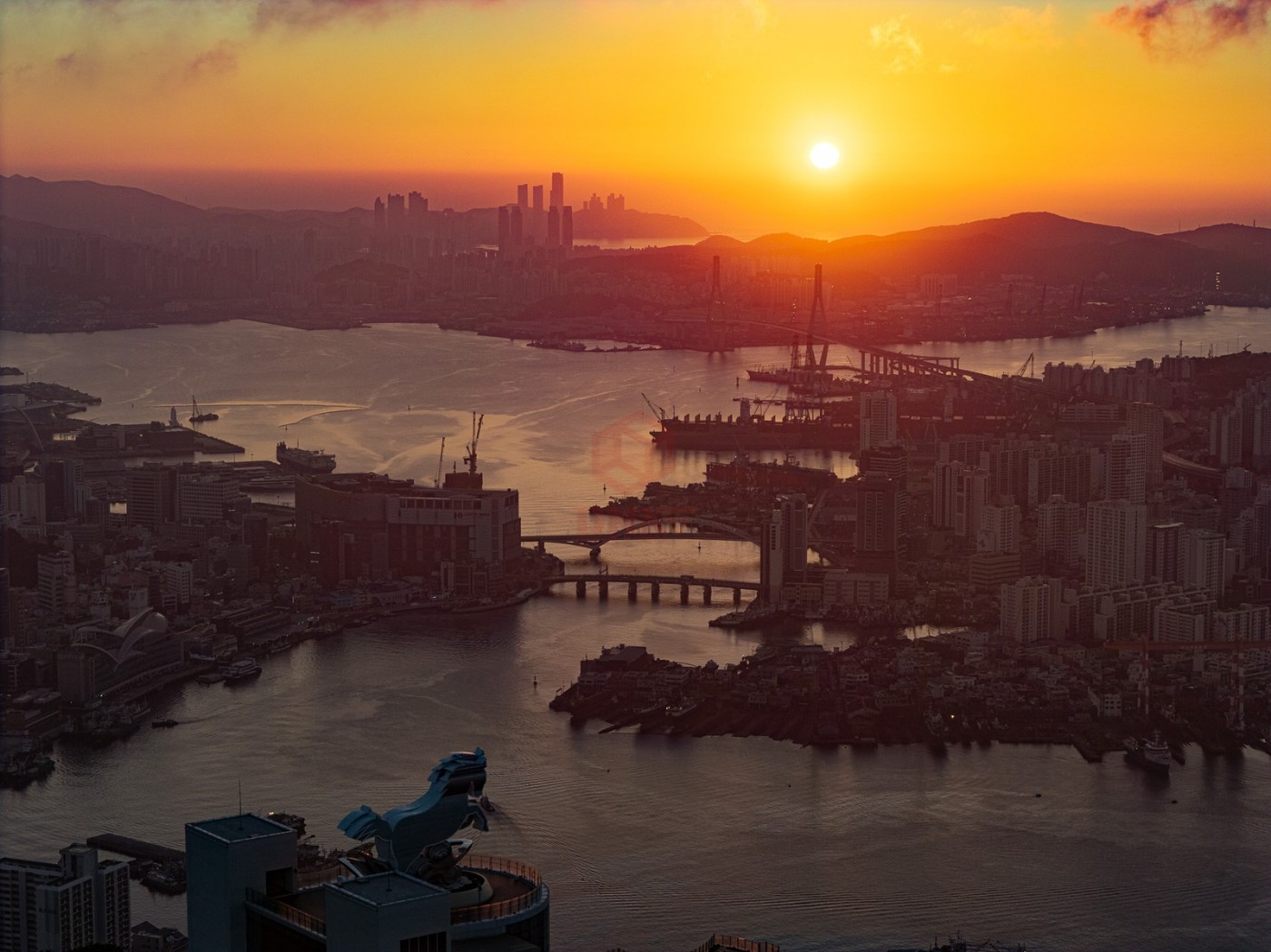 DJI_20260725053255_0106_D_1600x1199.jpg