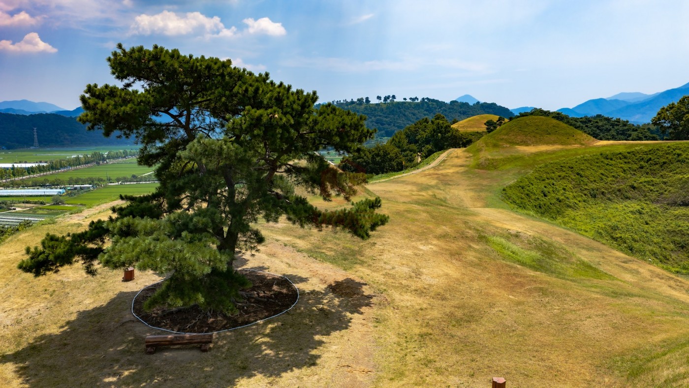 DJI_20260803124111_0347_D_1600x900.jpg