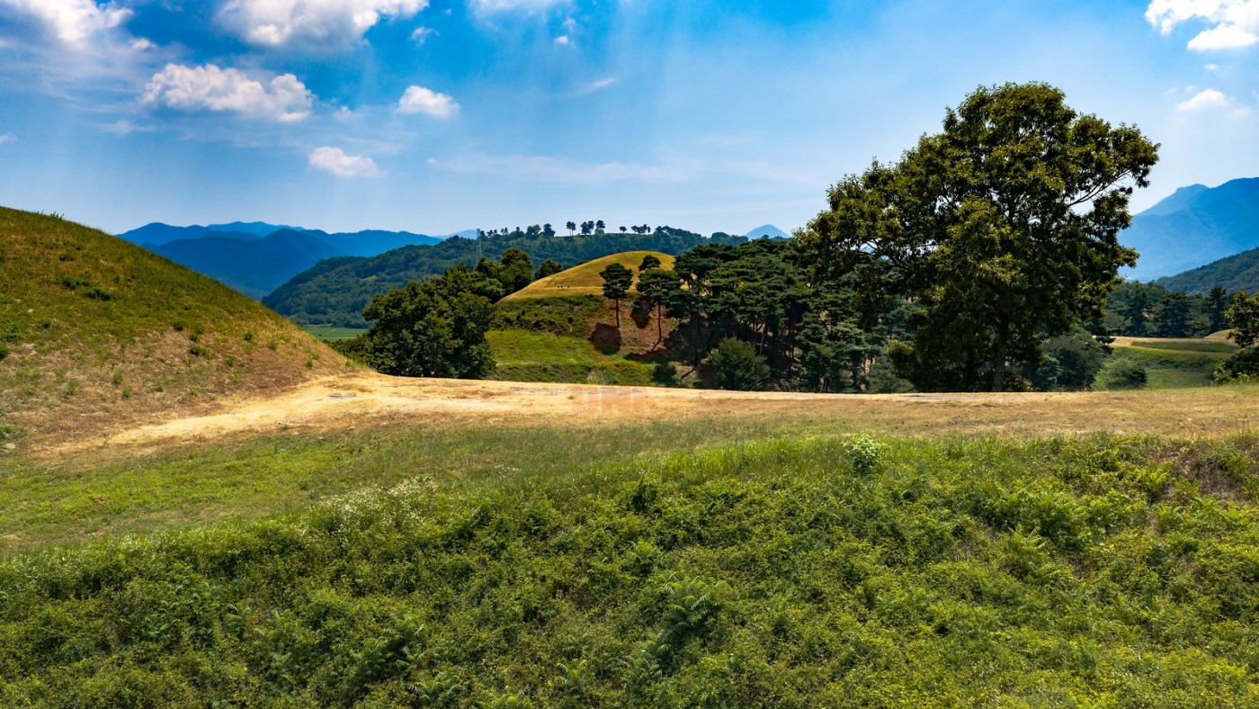 DJI_20260803124213_0350_D_1600x900.jpg