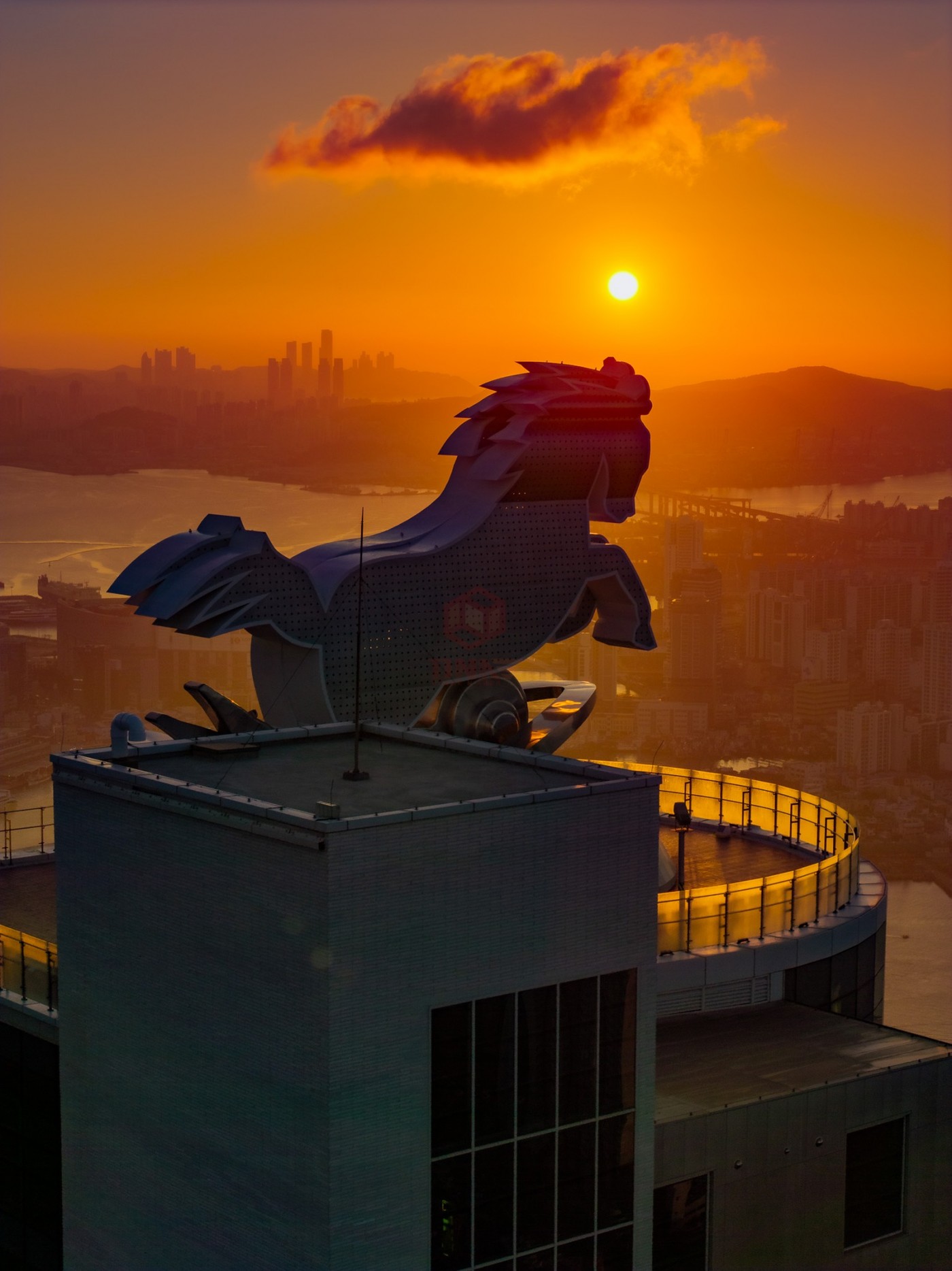 DJI_20260725053755_0123_D_1600x2135.jpg