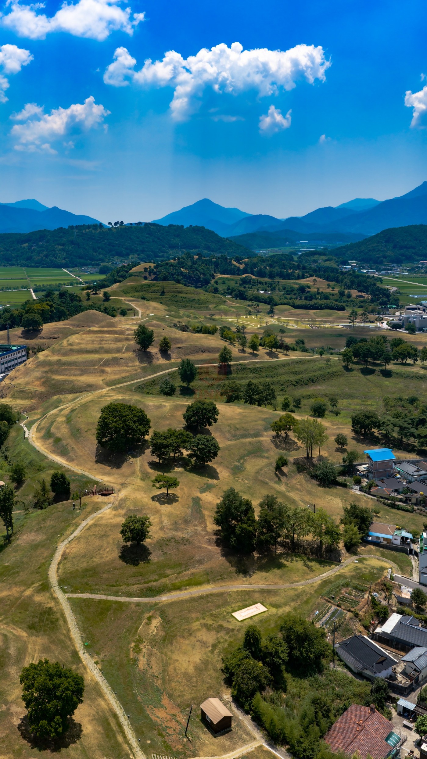 DJI_20260803121315_0299_D_1600x2844.jpg