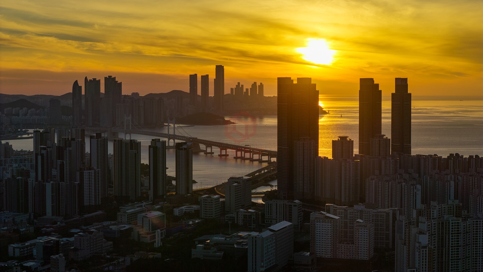 DJI_20260801054522_0256_D_1600x900.jpg