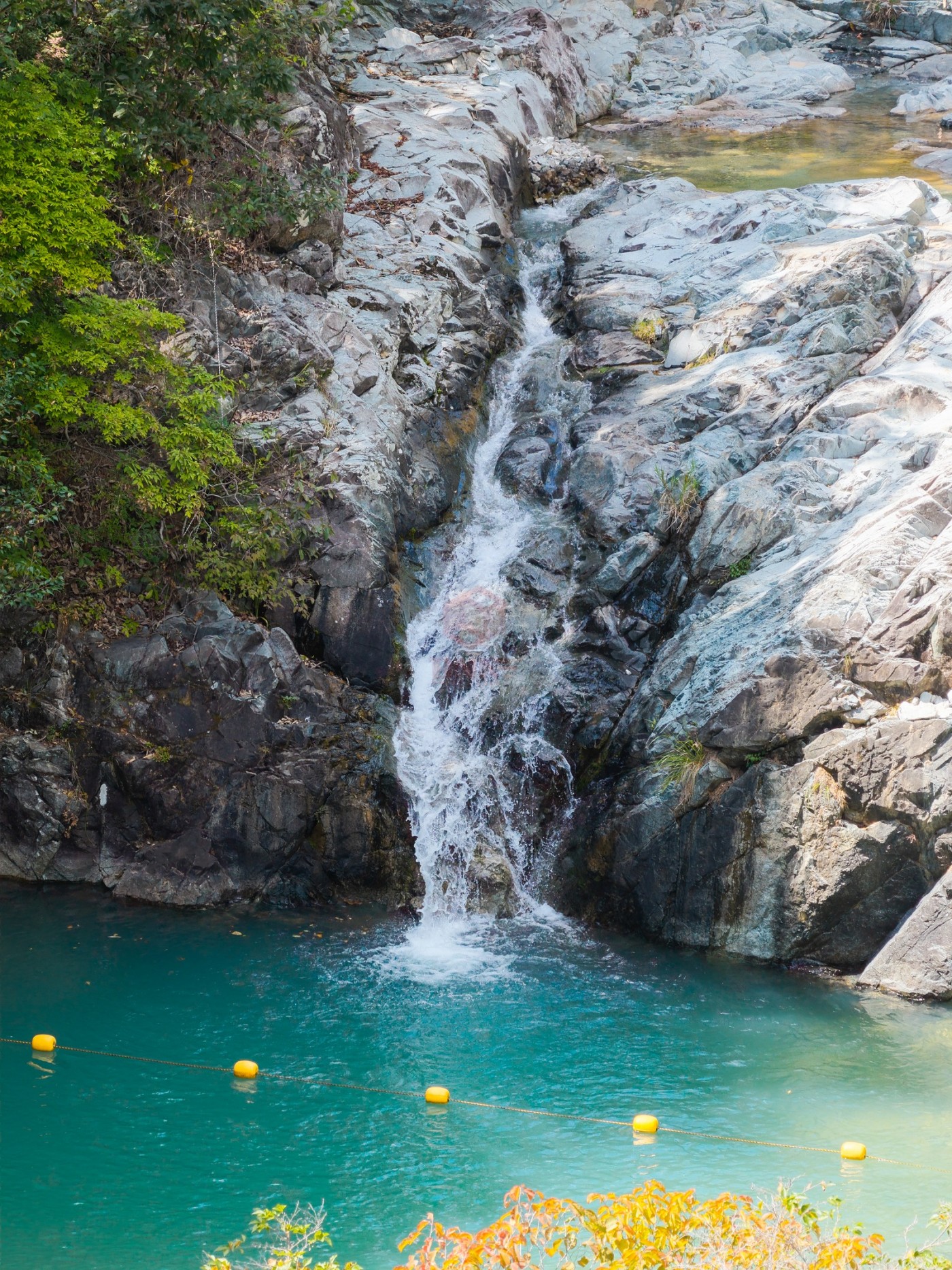 DJI_20260917122801_0920_D_1600x2134.jpg