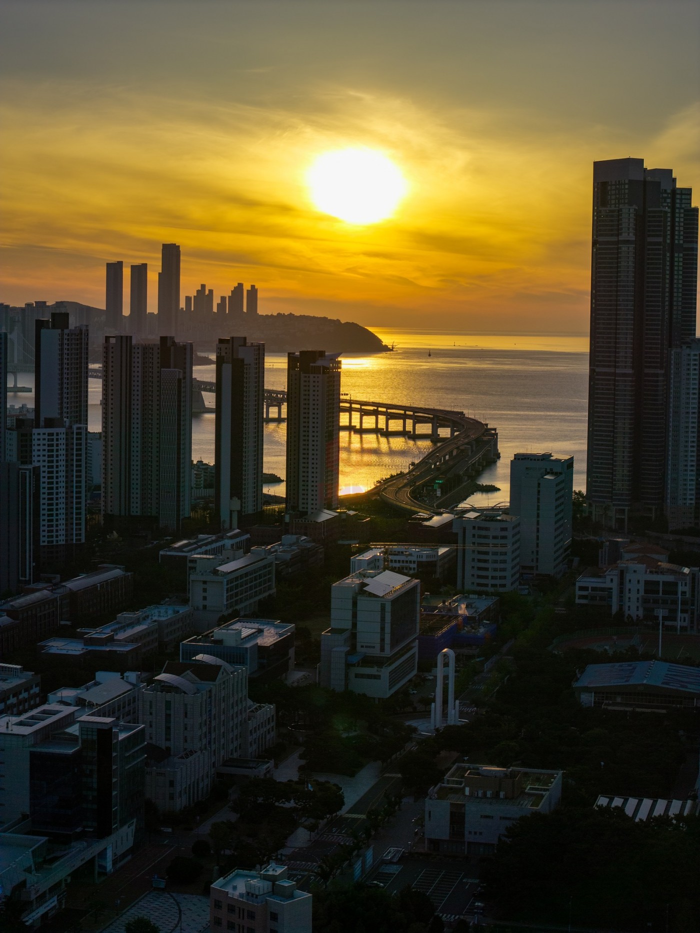 DJI_20260801055531_0287_D_1600x2134.jpg