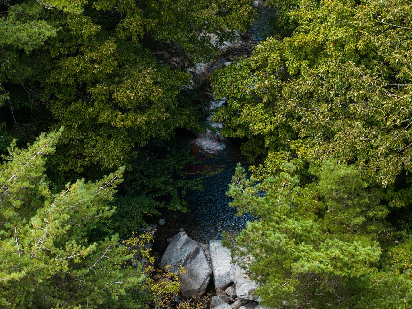 DJI_20260917123322_0933_D_1600x1200.jpg